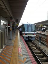 44503.jpg