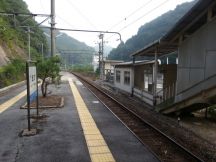 44517-1.jpg