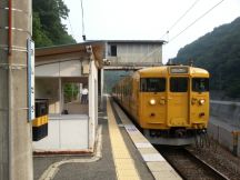 44517-7.jpg
