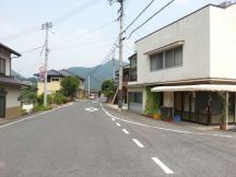 44527-7.jpg