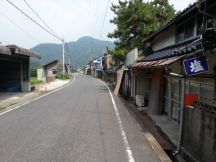 44527-8.jpg