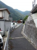 44532-4.jpg