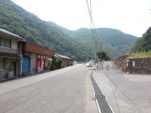 44533-8.jpg