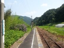 44538-1.jpg