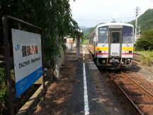 44545.jpg