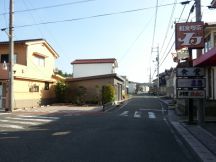 44548-3.jpg