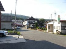 44548.jpg