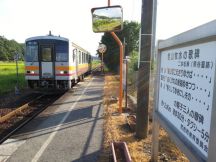 44550.jpg