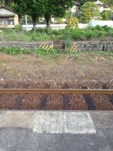 44551-2.jpg