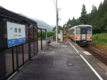 44553.jpg