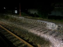 44558-7.jpg