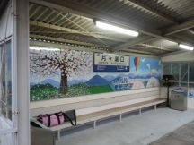 44587-1.jpg