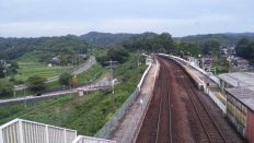 44587-5.jpg