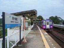 44587.jpg