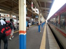 44607.jpg