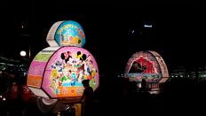 44628-5.jpg