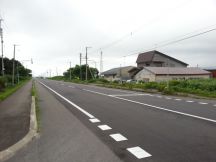 44661-8.jpg