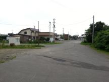 44662-5.jpg