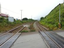 44677.jpg