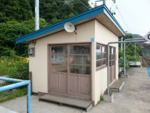 44681-1.jpg