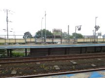 44681-3.jpg