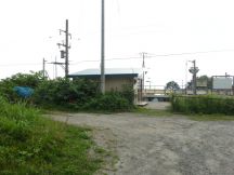 44681.jpg
