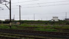 44701-2.jpg