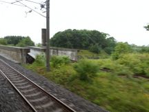 44706.jpg
