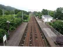 44726-1.jpg