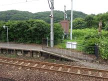 44726-3.jpg