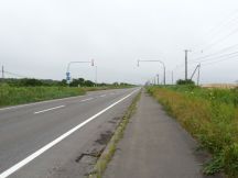 44761-7.jpg