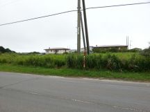 44764-3.jpg