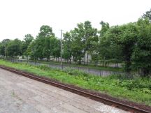 44765-3.jpg