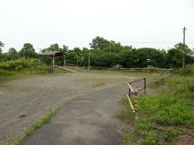 44765-5.jpg