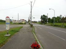 44765-7.jpg