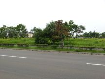 44765-8.jpg