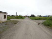 44772-5.jpg