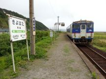 44775.jpg