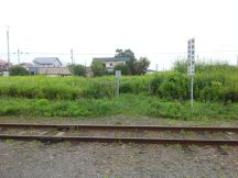 44784-7.jpg
