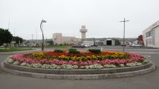 44785-6.jpg