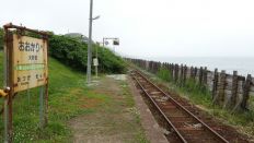 44791-8.jpg
