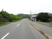 44791.jpg