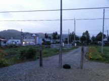 44797-4.jpg