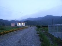 44797-5.jpg