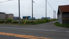 44813-7.jpg