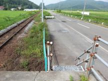 44819-1.jpg