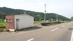 44819-5.jpg