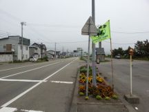44822-8.jpg