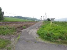 44829-6.jpg