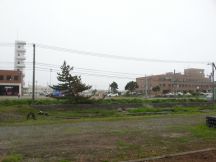 44831-9.jpg